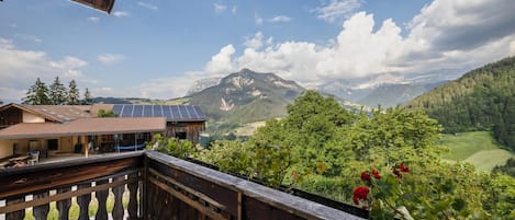 Terrain de l’hébergement 