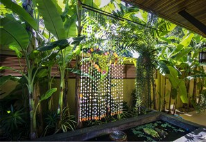 Lotus pond with turtles and tropical fish