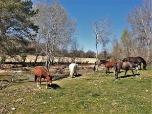 Overnattingsstedets uteområder