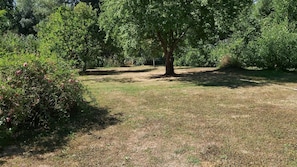 Jardin arboré et fleuri