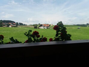 Interiör