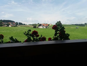 Interiör
