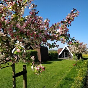 Boendeområde