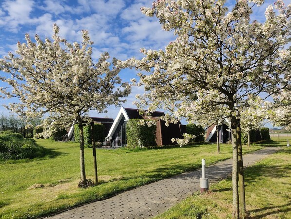 Boendeområde