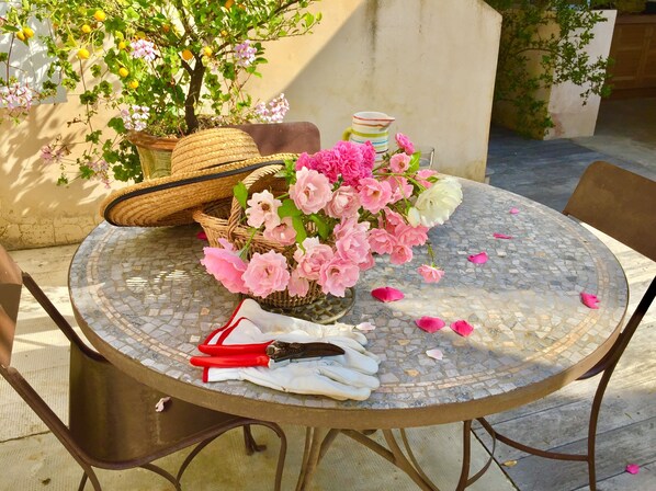 Roses Villa ioanes