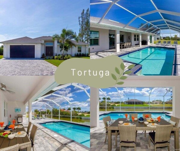 Welcome to Tortuga