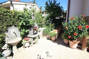 Terraza o patio