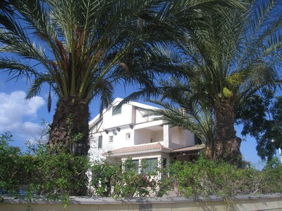 Picture of villa