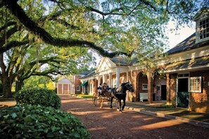 horsedrawn carriage rides