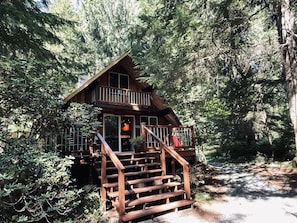 Welcome to Nisqually Nest: Your Cozy Mountain Retreat