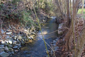 Creek on property that runs only about ten feet away from the home. Creekside.