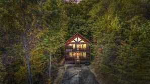 Drone Shot of Cabin 