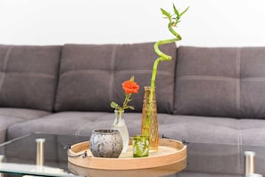 Wohnzimmer mit integriertem KĂŒchenbereich