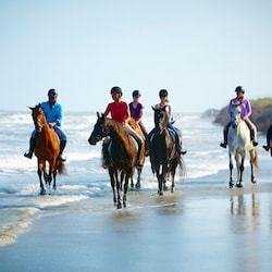 Check out the Seabrook Equestrian Center! Take a horseback ride on the beach