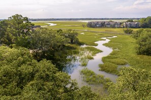 Aerial Views of Area