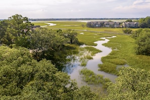 Aerial Views of Area