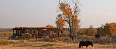 Hundreds of miles of open space. Views of the Owl Creek & Wind River mountains.