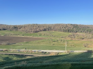 Front Window View