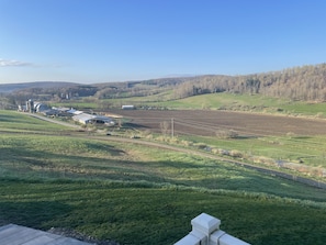 View from Balcony