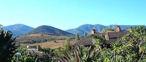 vue chambre rez de chaussée