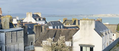 vue des velux du dernier étage