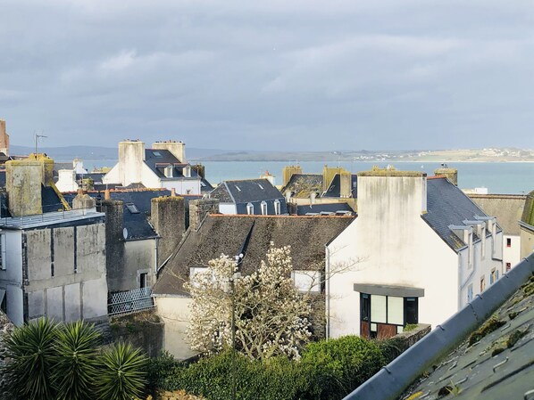 vue des velux du dernier étage