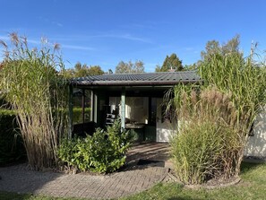 Pflanze, Himmel, Fenster, Gebäude, Baum, Hütte, Schatten, Grundstueck, Gras, Wolke