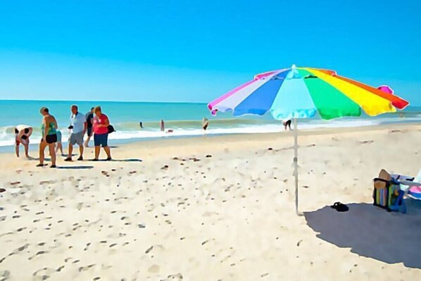 Our beautiful beach is one of best places to find the pre-historic sharks teeth Venice is famous for. Only 6 minute walk from house!