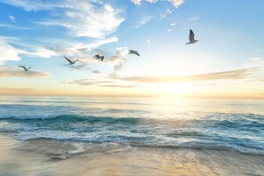 Picture perfect sunset, experience this for yourself