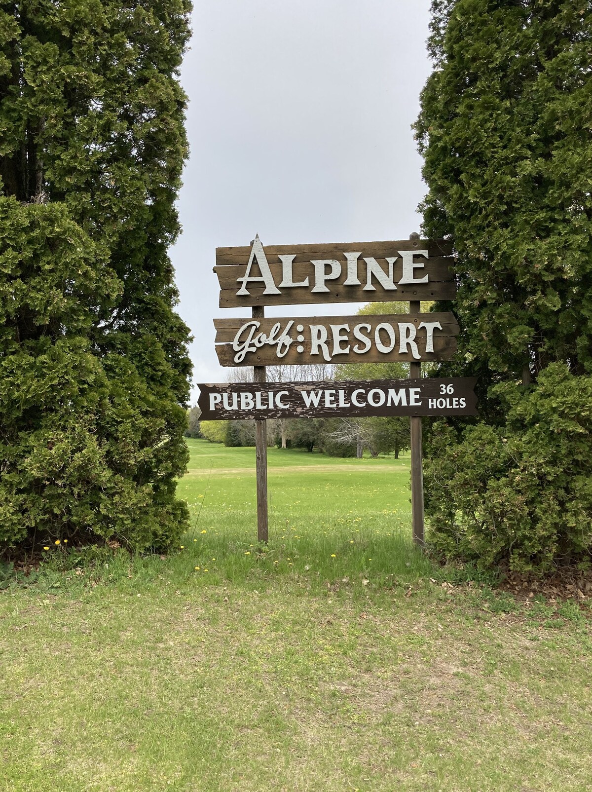 Main Image