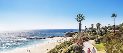 Laguna Beach is one of California’s most beloved destinations. The endless dreamy beaches, magnificent sunsets and so many things to explore in the area! 