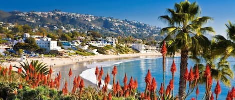 Laguna Beach is one of California’s most beloved destinations. The endless dreamy beaches, magnificent sunsets and so many things to explore in the area! 