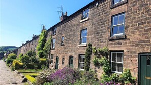 BOBBIN LONG ROW SUNNY NEW 