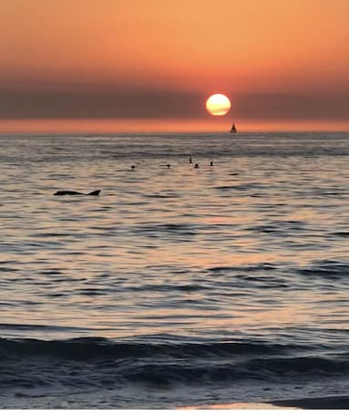 Gulf coast sunset