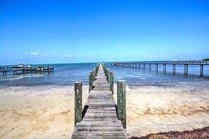 Private 300' dock