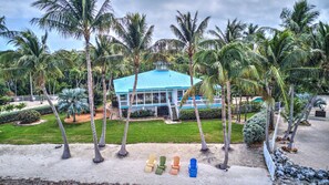 Aerial view of the back yard and your own beach with studded palm trees.