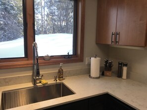 Kitchen Sink Area