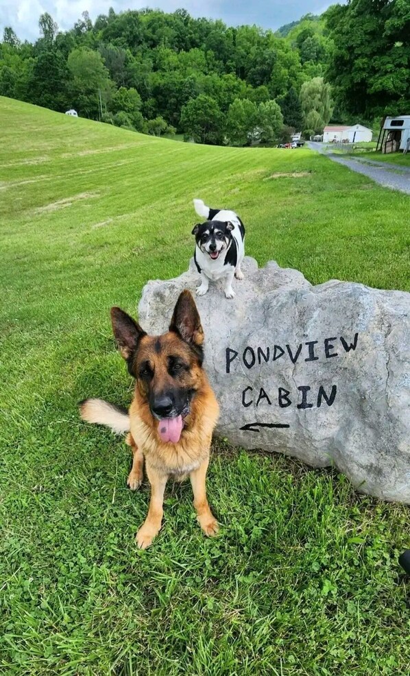 Welcome to Pondview Cabin