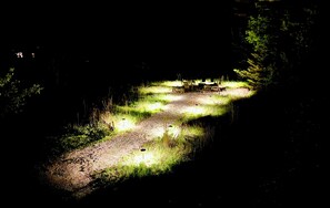 Speisen im Freien