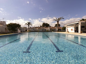 Sky, Water, Cloud, Plant, Swimming Pool, Light, Azure, Tree, Arecales, Body Of Water