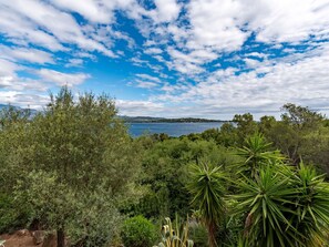 Cloud, Sky, Daytime, Plant, Plant Community, Ecoregion, Water, Natural Landscape, Vegetation, Tree