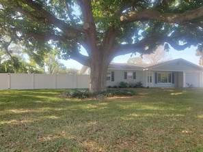 Our 285yr old Oak tree. Secure trailer parking behind the gate.