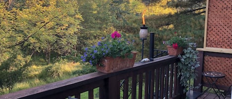 Top deck view with parkland, creek, lots of birds and wildlife