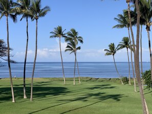 View from the Lanai
