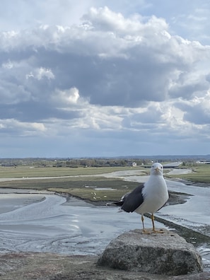 « Habitante » du Mont Saint Michel !