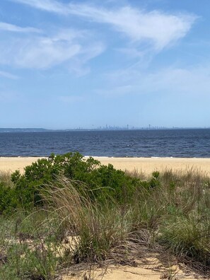 View from the top of the dune