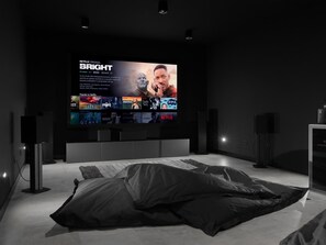 Television