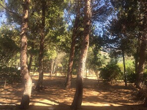 Property grounds