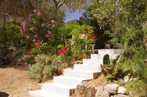 Jardines del alojamiento