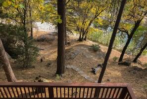 View of river looking down from top deck and living area